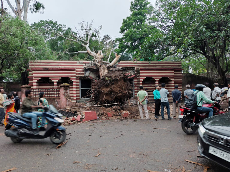 तेज आंधी और बारिश के कारण बड़ा तालाब के पास सुलभ शौचालय पर गिरा विशाल पेड़