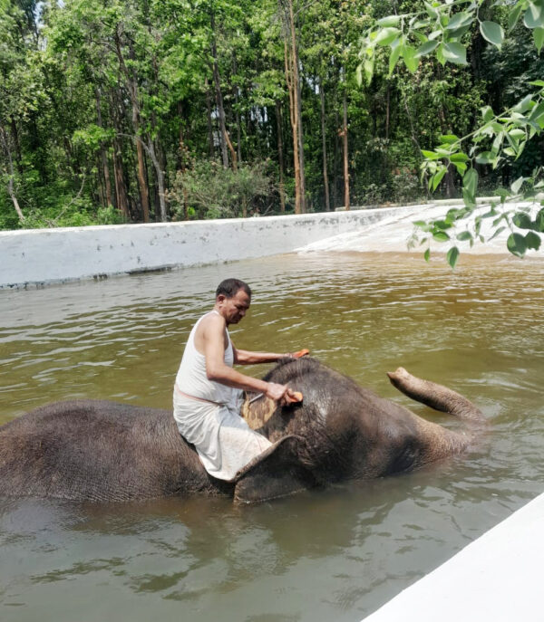 ओरमांझी जू में वन्य प्राणी भी उठा रहे कूलर और खास आहार का आनंद