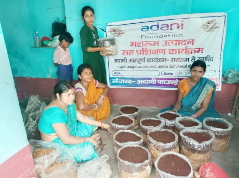 40 डिग्री गर्मी में मशरूम उपजा रही हैं गोड्डा की महिलाएं, अदाणी फाउंडेशन से मिली ट्रेनिंग से हो रहीं आत्मनिर्भर 40 डिग्री गर्मी में मशरूम उपजा रही हैं गोड्डा की महिलाएं, अदाणी फाउंडेशन से मिली ट्रेनिंग से हो रहीं आत्मनिर्भर