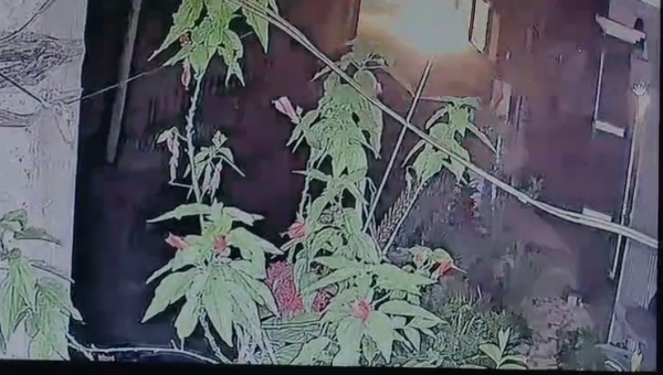दिल दहला देने वाली घटना, युवक ने खुद को लगाई आग दिल दहला देने वाली घटना, युवक ने खुद को लगाई आग