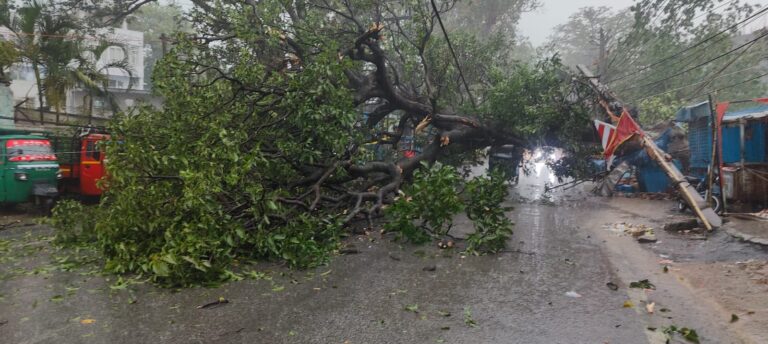 कोकर में तूफानी कहर: पेड़ गिरने से दो लोग घायल, विद्युत पोल भी धराशायी