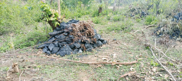 खावा जंगल के नदी तट पर अवैध संचालित खदान में तीन लोग लापता खोज बिन जारी