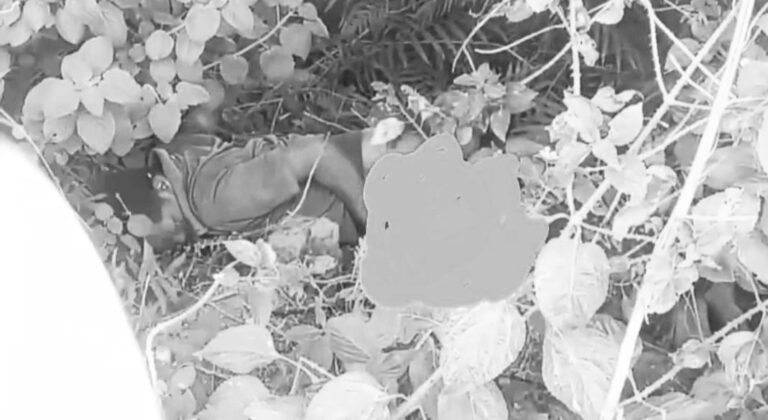 अज्ञात युवक की लाश मिलने से दहशत, हत्या या हादसा? पुलिस जांच में जुटी अज्ञात युवक की लाश मिलने से दहशत, हत्या या हादसा? पुलिस जांच में जुटी