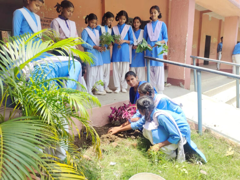 पर्यावरण दिवस पर सुकुरहुटू विद्यालय में वृक्षारोपण और स्वच्छता का संदेश