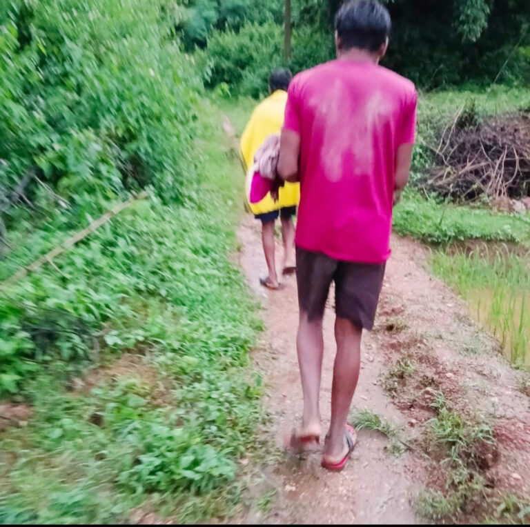 झारखंड में सड़क संपर्क के अभाव में तीन दिन की नवजात की मौत