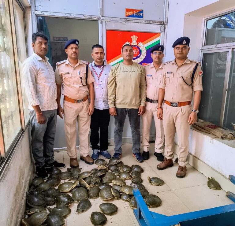 दून एक्सप्रेस से 7.8 लाख रुपये के 78 जीवित कछुए बरामद दून एक्सप्रेस से 7.8 लाख रुपये के 78 जीवित कछुए बरामद