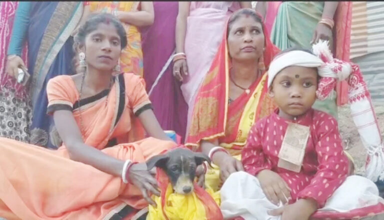 अजब-गजब परंपरा: ग्रह दोष निवारण के लिए दो बच्चों का कुतिया से कराया गया प्रतीकात्मक विवाह