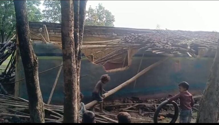 कोडरमा: हाथियों का उत्पात जारी, घर तोड़े-फसल नष्ट की, ग्रामीणों में दहशत