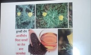 आर्जीमोन मिले सरसों तेल से एक ही परिवार के पांच लोगों की मौत, ड्रॉप्सी बीमारी की पुष्टि