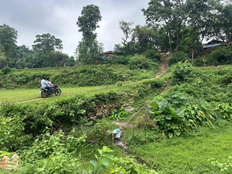 सड़क के इंतजार में थमा विकास, खूंटी के लांदुपडीह में आज भी खाट पर अस्पताल पहुंचते हैं मरीज सड़क के इंतजार में थमा विकास, खूंटी के लांदुपडीह में आज भी खाट पर अस्पताल पहुंचते हैं मरीज