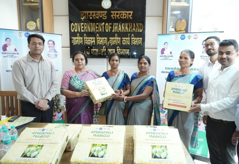झारखंड का आम्रपाली आम दुबई पहुंचा, महिला किसानों को मिली वैश्विक पहचान