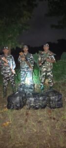 भारत-नेपाल सीमा पर एसएसबी की बड़ी कार्रवाई, 98 किलो गांजा जब्त, तस्कर फरार