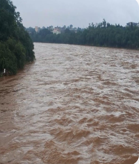 स्वर्णरेखा-खरकई उफान पर, जमशेदपुर के निचले इलाकों में बढ़ा खतरा