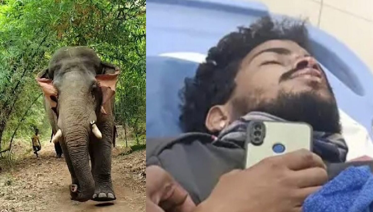 नोवामुंडी में हाथी को देख बाइक सवार घायल